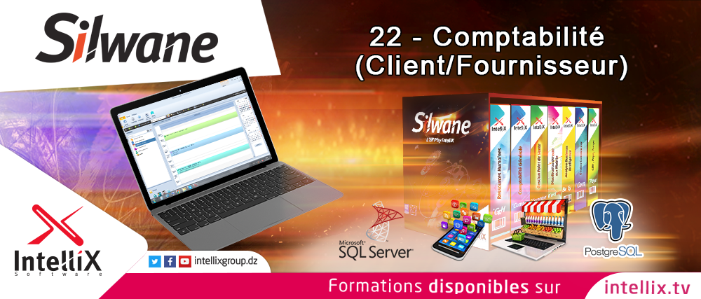 Image de Silwane Compta : Simplifiez la gestion comptable de votre entreprise